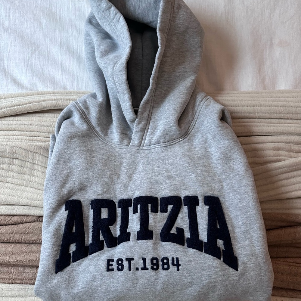 Aritzia Heather Gray and Navy Pullover Hoodie - Picture 3 of 5